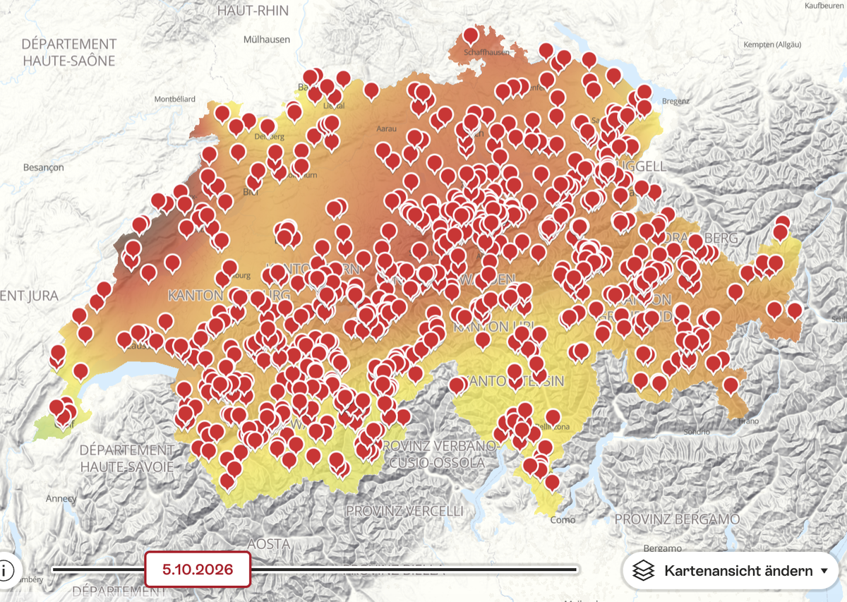 Laubtracker Schweiz Herbstlaub Lärchen
