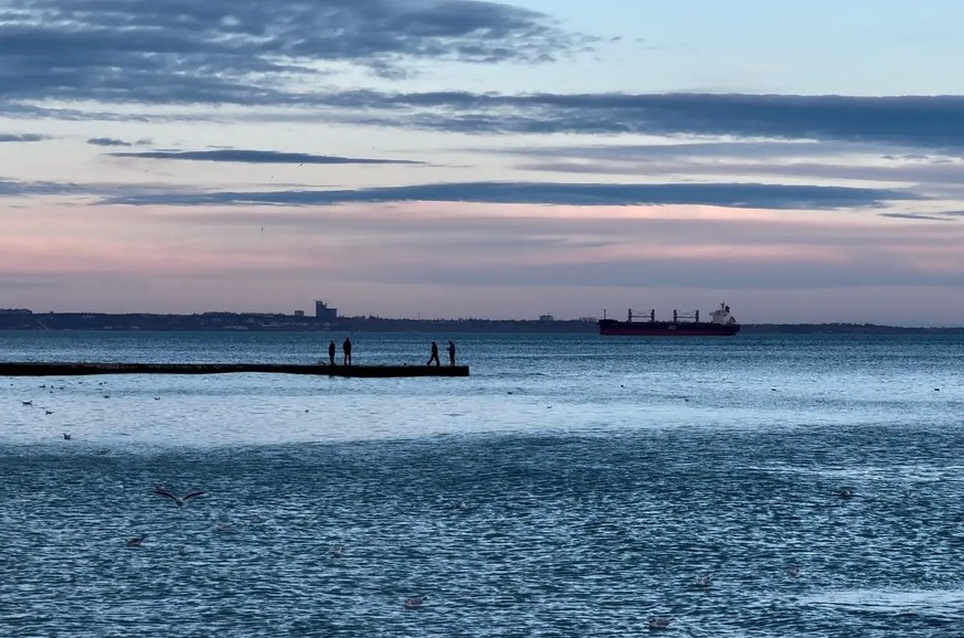Ein dänisches Frachtschiff läuft den Hafen von Odessa an.