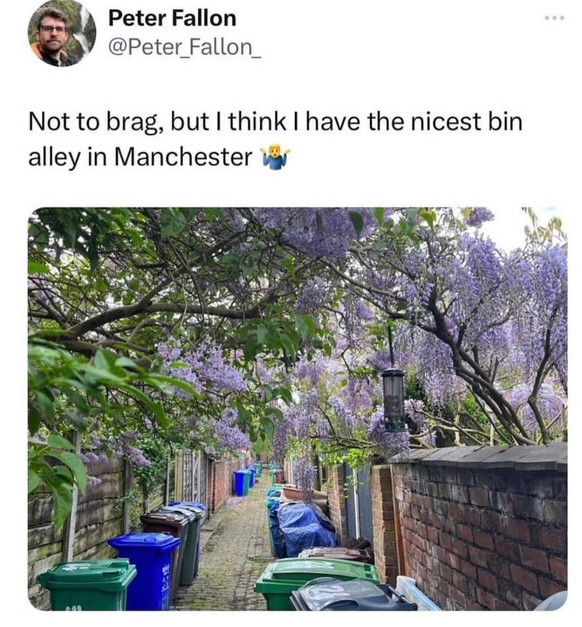 Lustige Memes über Briten: Schönste Kübel-Allee.