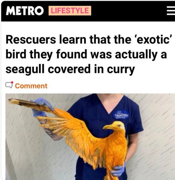 Die britischste Schlagzeile EVER: Möve fällt in Curry-Topf, wird Orange. 
metro.co.uk