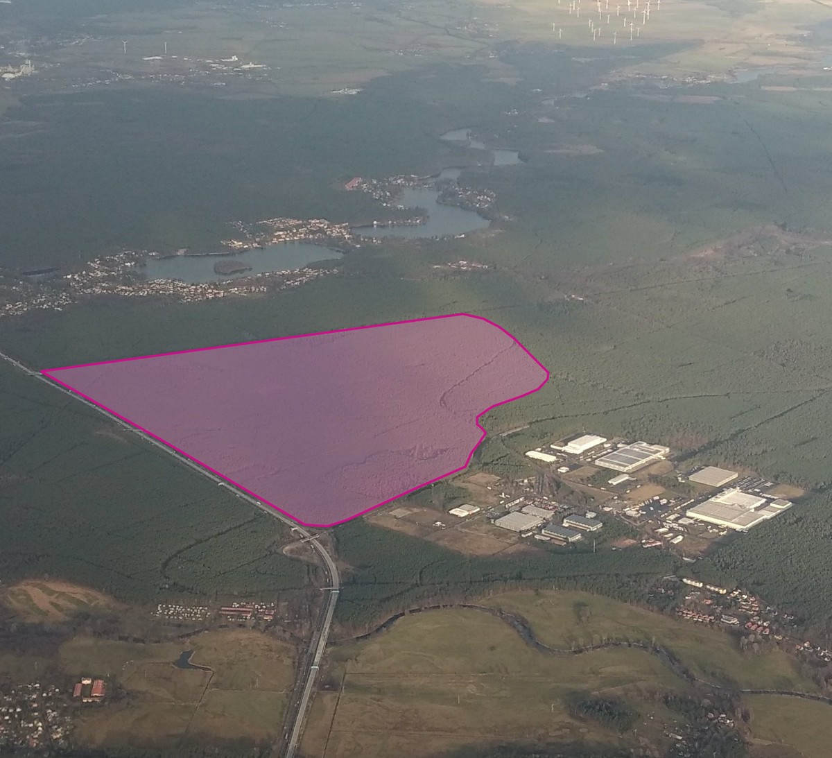 Tesla will die Autofabrik in Grünheide bei Berlin in diesen Nutzwald bauen, der seit Jahren als Gewerbegebiet vorgesehen ist. Im Hintergrund der Ort mit seinen Badeseen und das Naturschutzgebiet Löckn ...