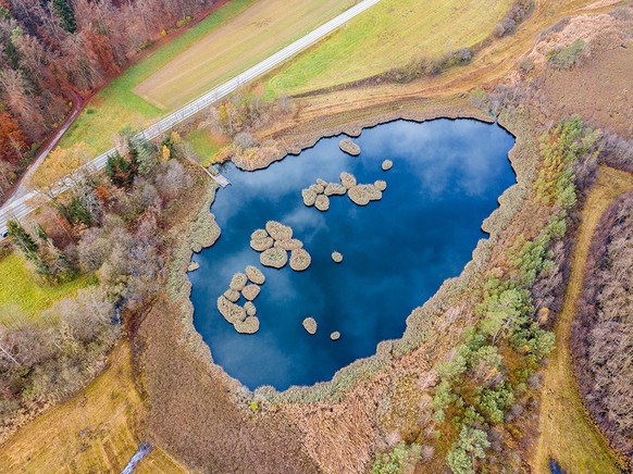 Aerial image of a pond with floating turf mats, which were cut of from peat block covered with growing shrubs in old times. Rauszeit Moorlandschaften Barchetsee