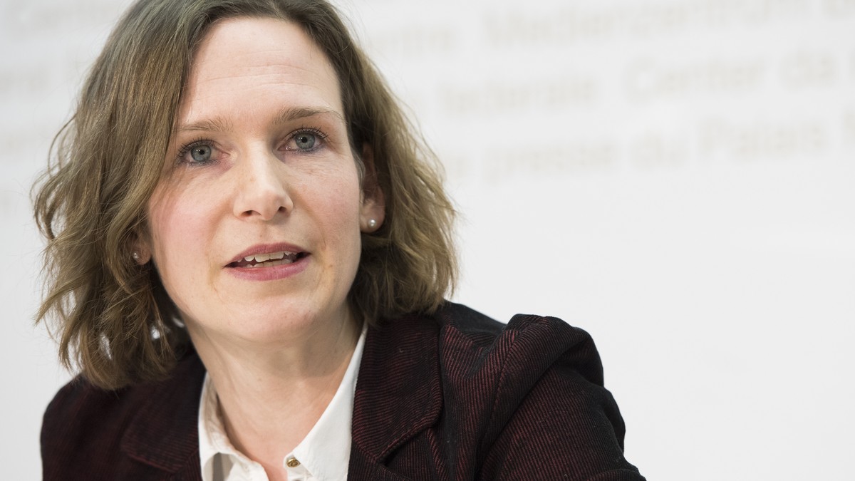 Evi Allemann, SP Nationalraetin Bern, spricht an der Medienkonferenz von Volksabstimmung vom 12. Februar 2017 NEIN zum NAF, am Dienstag, 10. Januar 2017, im Medienzentrum Bundeshaus in Bern. (KEYSTONE ...