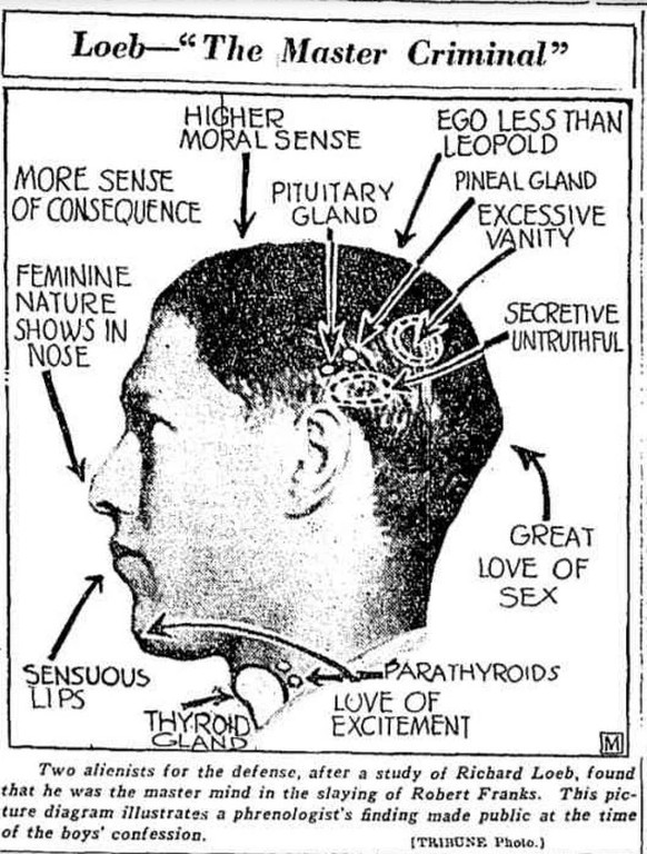Physiognomie Loeb und Leopold