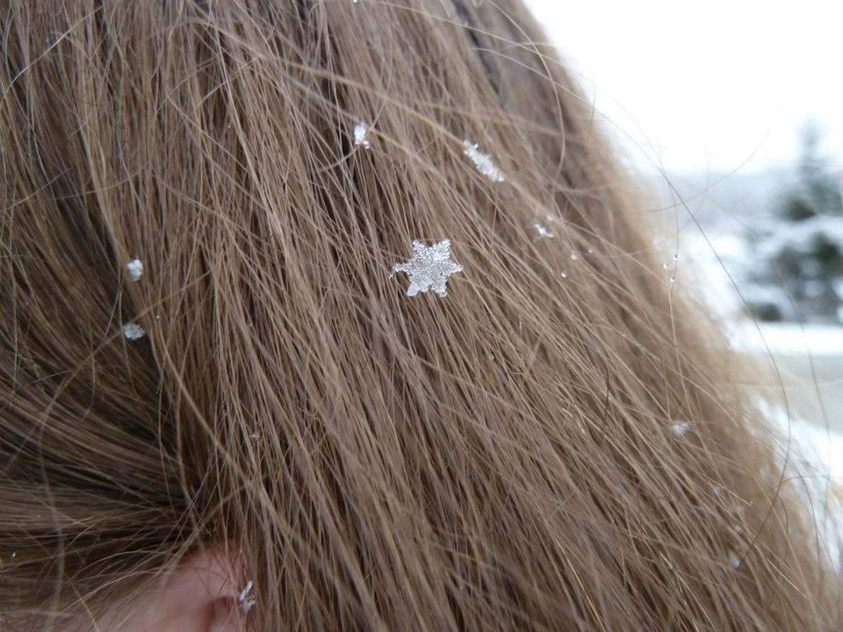 Schneeflocke