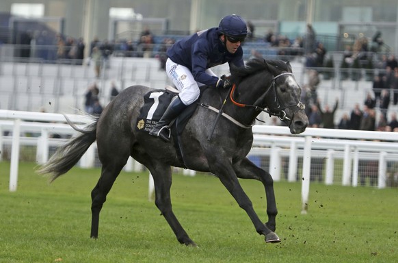 Former England soccer player Michael Owen rides Calder Prince during the Prince&#039;s Countryside Fund race at Ascot Racourse, Friday Nov. 24, 2017. (Steve Parsons/PA via AP)