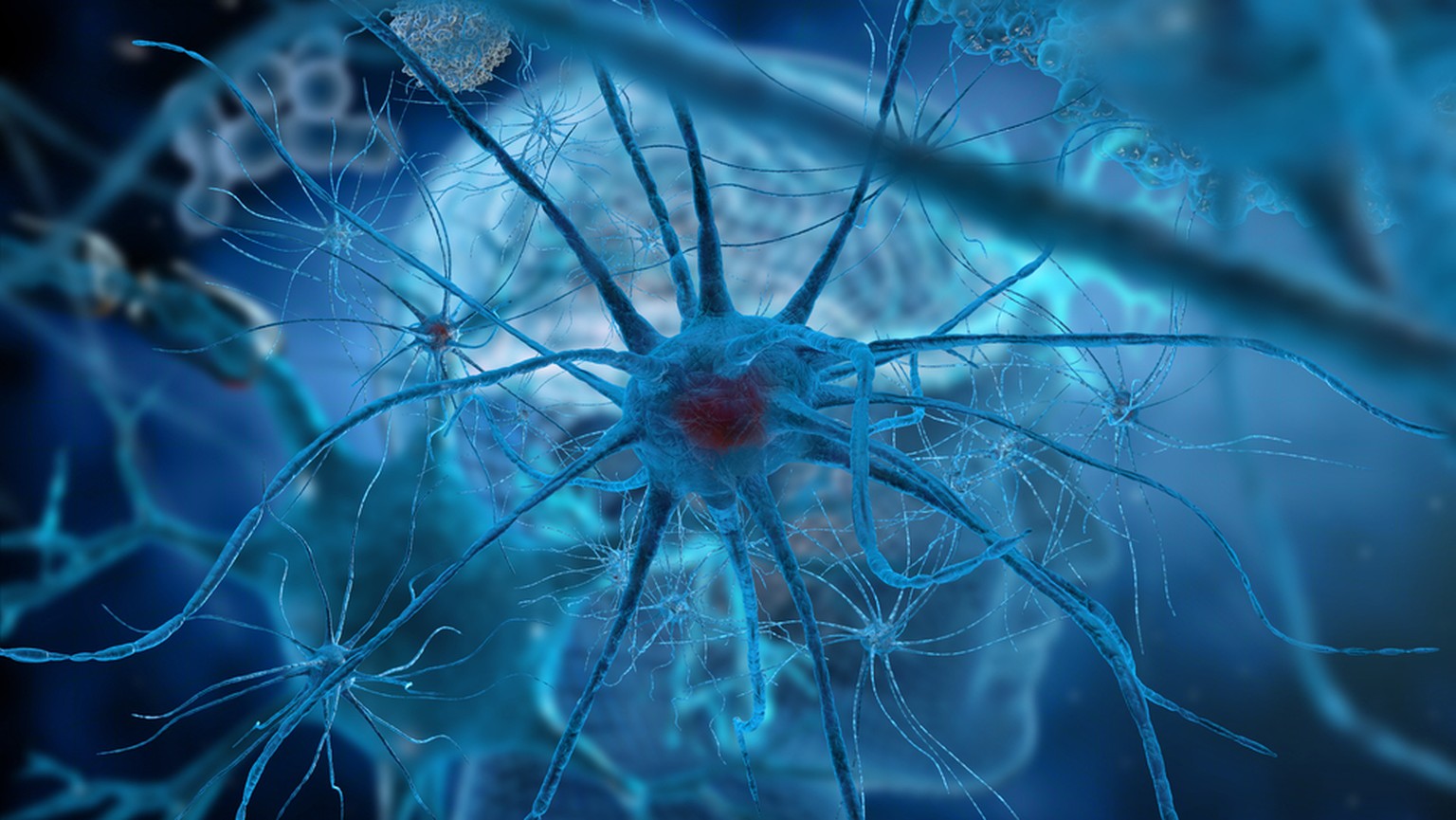 Neuronen (Symbolbild)