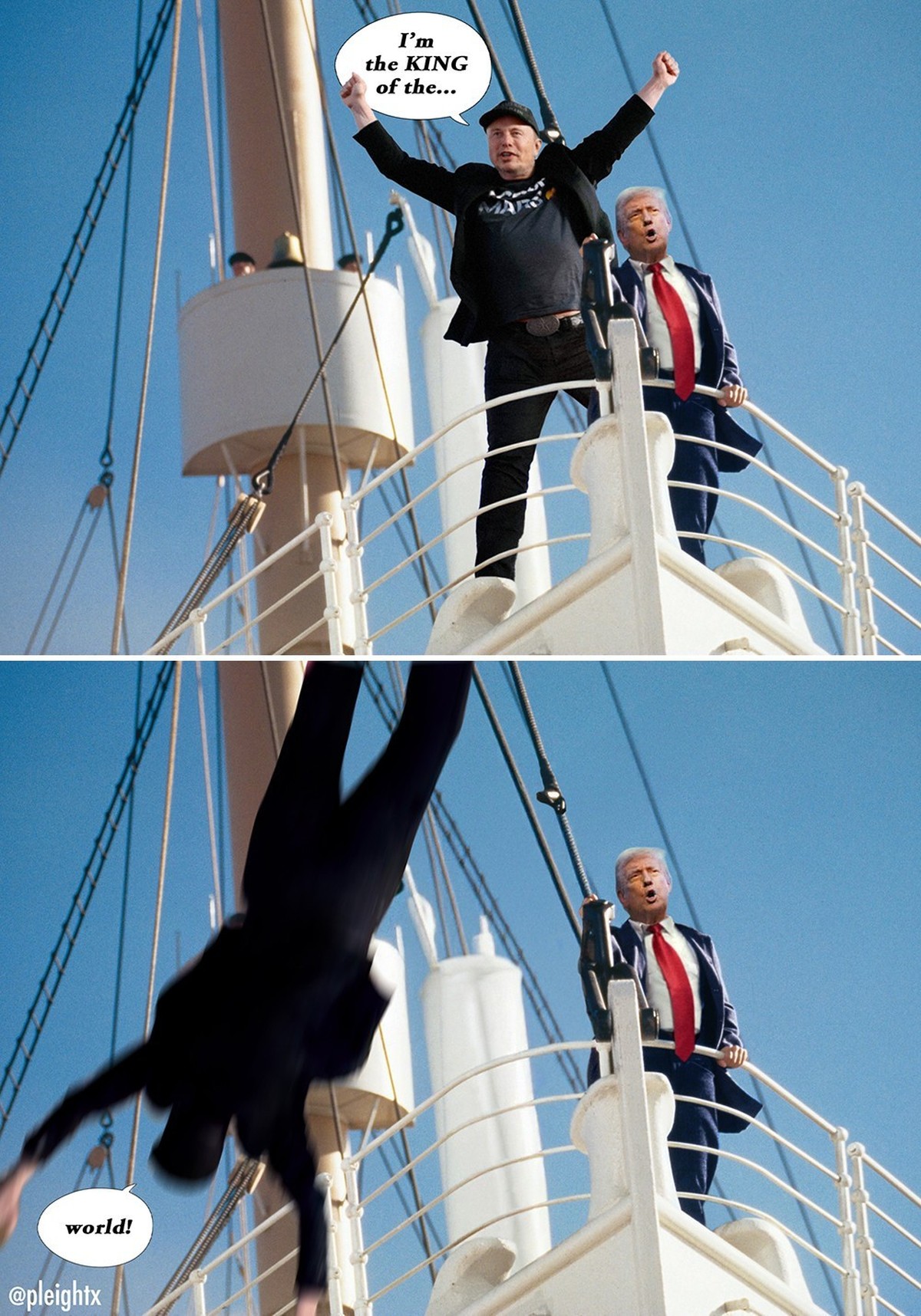 Trump Musk Meme