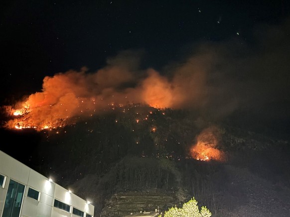 Der Waldbrand umfasste laut Kapo Graubünden eine Fläche von ca. zwei Quadratkilometern.
