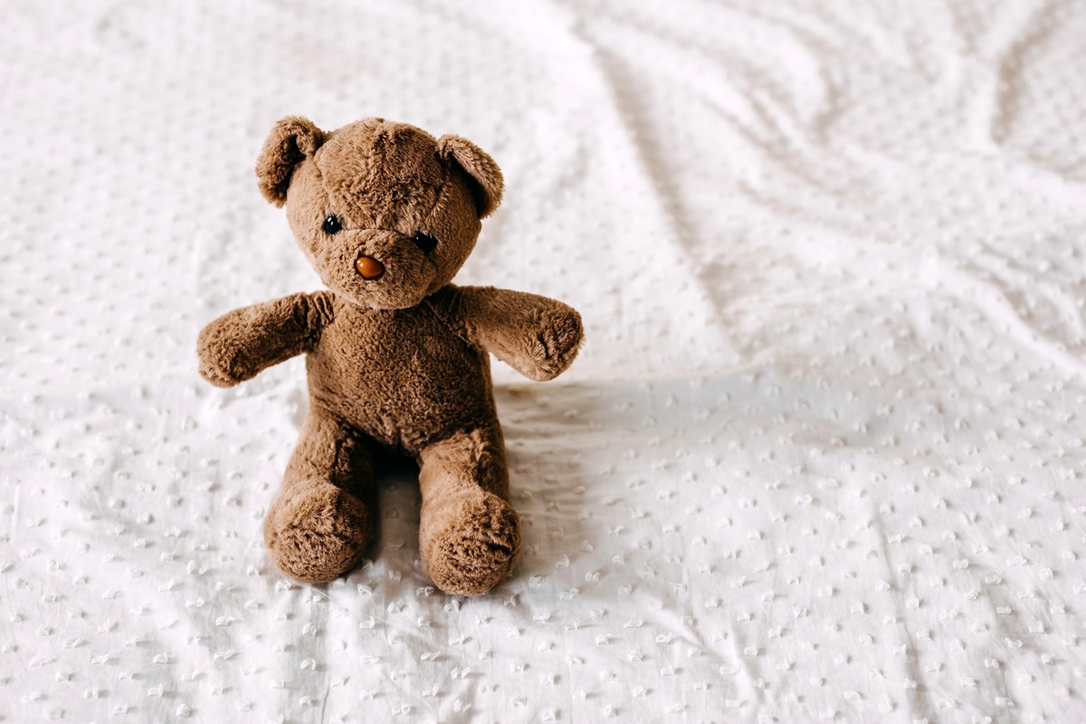 teddy