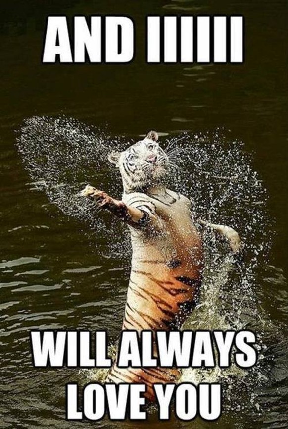 Tiger singt I always will love you

http://favoritememes.com/news/and_i_will_always_love_you_tiger/2014-09-16-1389