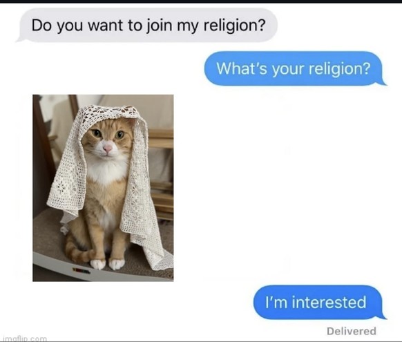 Picdump 150 – To Do heute: Memes anschauen! \nIch habe auch Interesse 😺