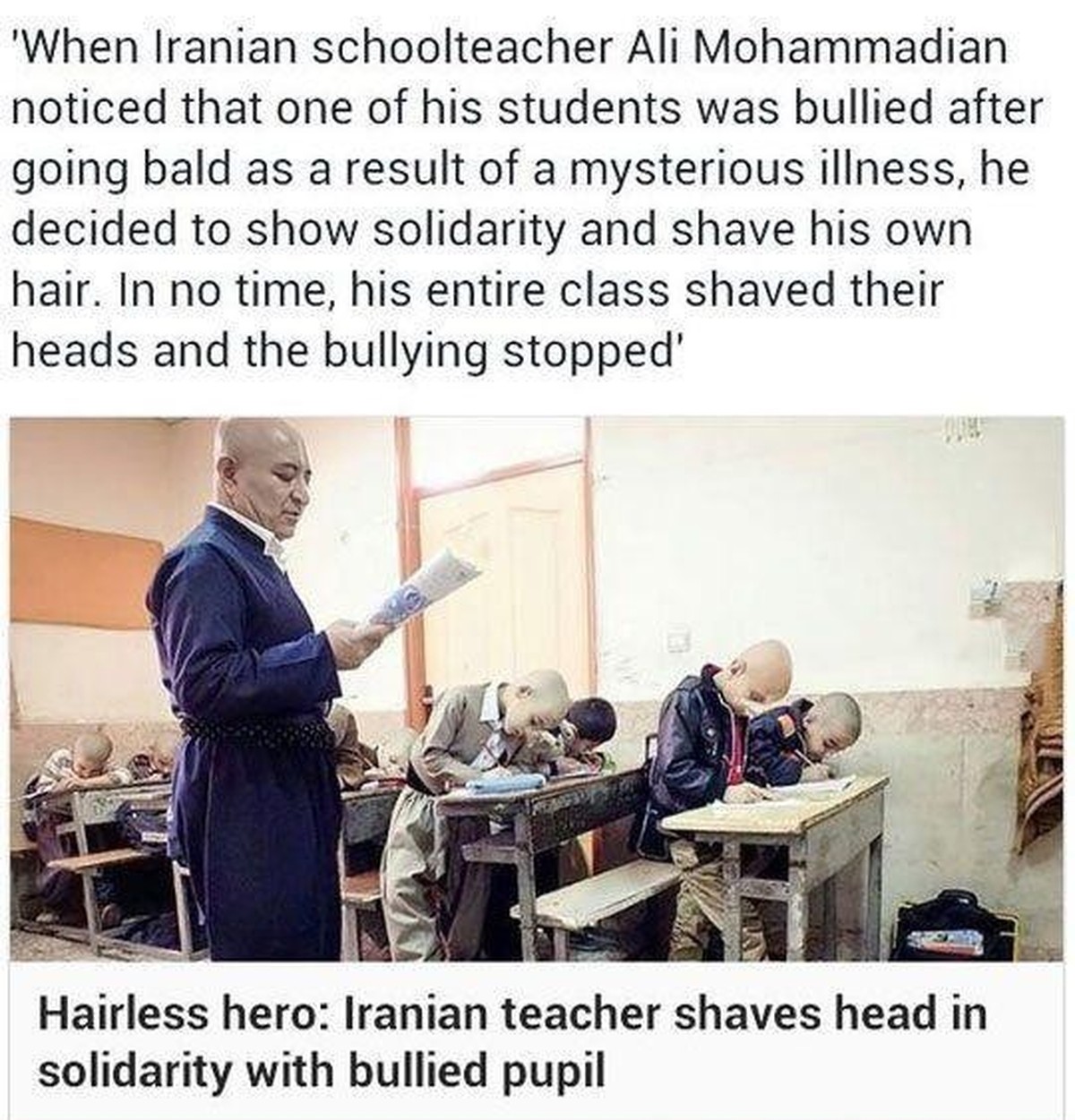 Bild