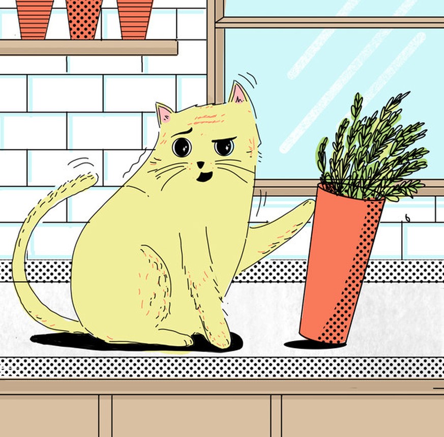 10 Dinge, die deine Katze dir sagen möchte