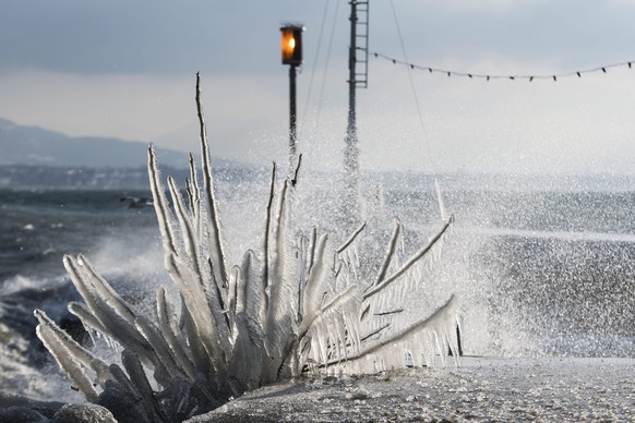epa05724900 A shrub is covered in ice after the strong wind at Lake Leman in Versoix, Geneva, Switzerland, 17 January 2017. EPA/JEAN-CHRISTOPHE BOTT