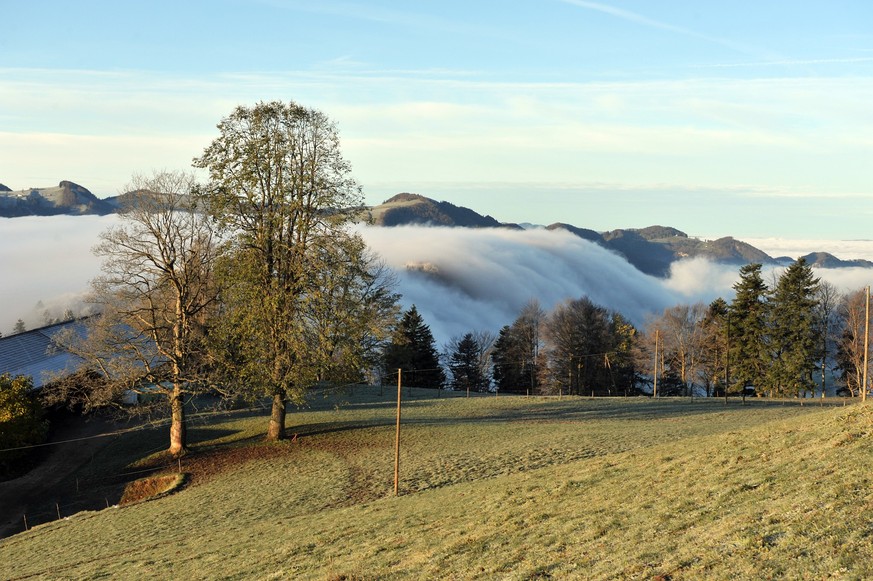 Rauszeit Nebelwanderungen Basel-Landschaft bei Chellenchöpfli