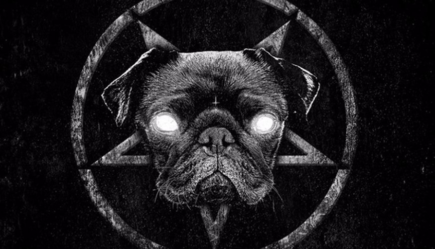 Und NUN: 7 Metal-Bands mit tierischen Frontsängern. Also, Tiere als Sänger. Echt, jetzt