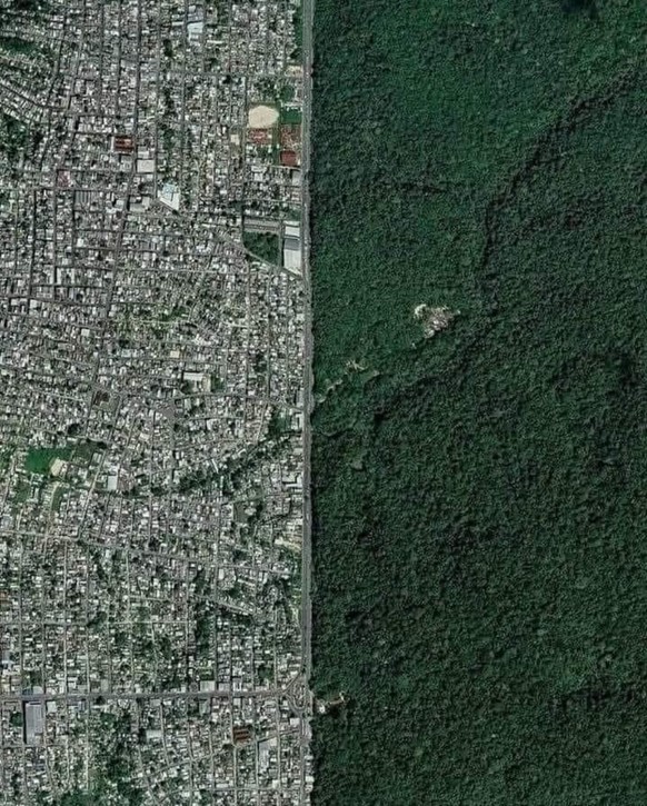 Grenze der brasilianischen Stadt Manaus und des Regenwalds