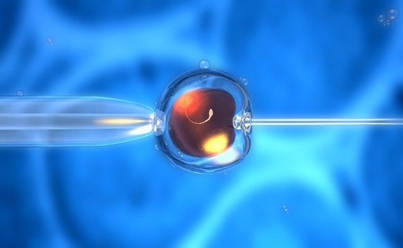 3D-Darstellung einer künstlichen Befruchtung oder In-vitro-Befruchtung einer Eizelle, eines Opiums oder eines Zygoten