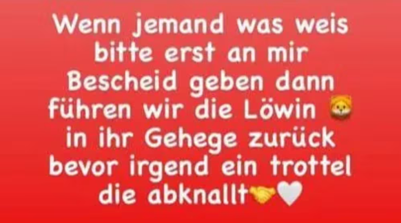 Das Posting zur Löwin, die angeblich Nala heisst.