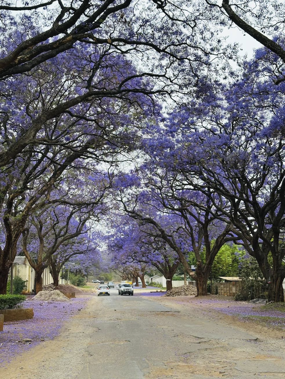 Simbabwe