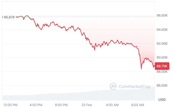 Bitcoin-Absturz 25. Februar 2025
