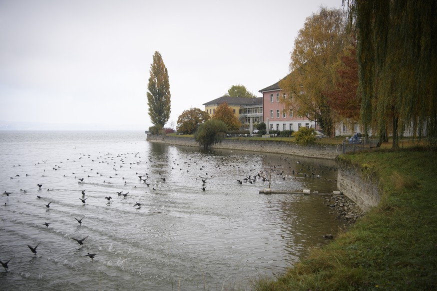 Blick auf Gebaeude der Psychiatrischen Klinik, aufgenommen am Montag, 31. Oktober 2016, in Muensterlingen. Wie der Tages Anzeiger die untersuchende Historikerin Marietta Meier zitiert, sollen die in d ...