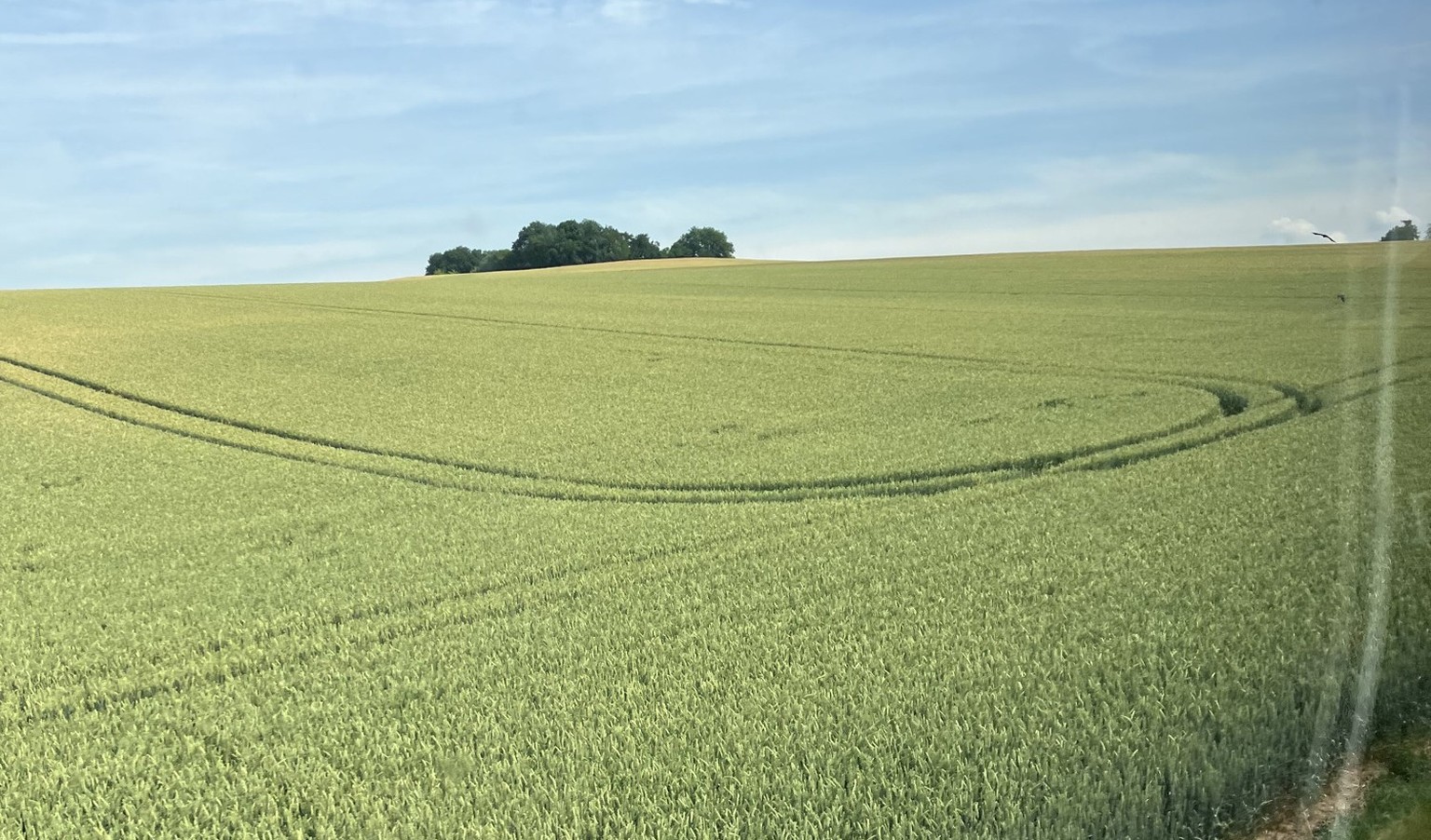 Mit dem 9-Euro-Ticket gibt es keine Traktorfahrt.