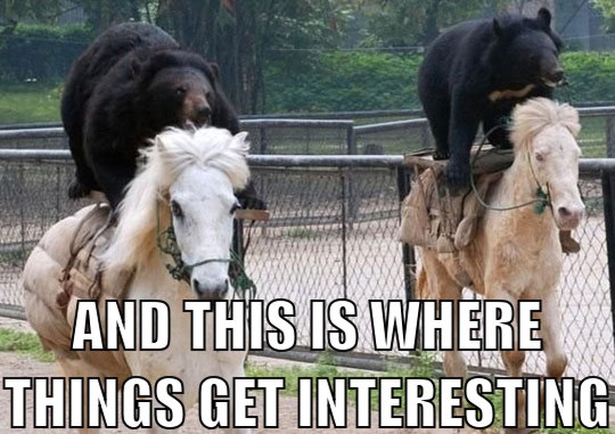 «Und dann wird's interessant ...»