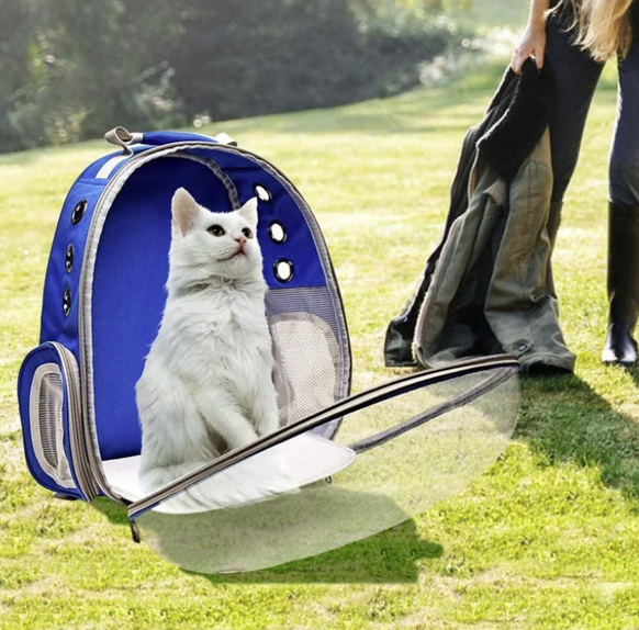 Die lustigsten Fails der Woche: Photoshop-Fail mit Katze