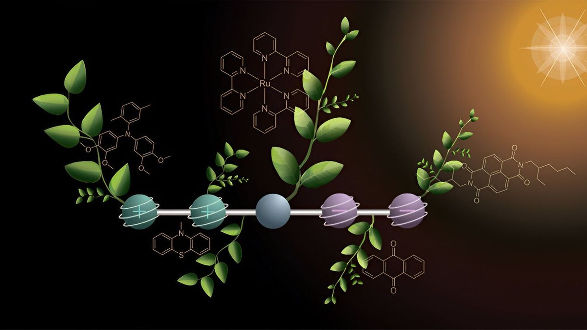 Treibstoff aus Licht – Basler Forscher sind der künstlichen Fotosynthese auf der Spur