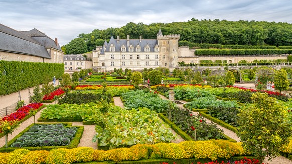 Die Gärten des Schlosses Villandry erstrahlen im Sommer in vielen Farben.