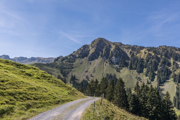 Wanderweg mit Aussicht auf Berg Arvigrat, Nidwalden, Schweiz Wanderweg mit Aussicht auf Berg Arvigrat, Nidwalden, Schweiz Copyright: xZoonar.com/OliverxGutfleischx 12641254