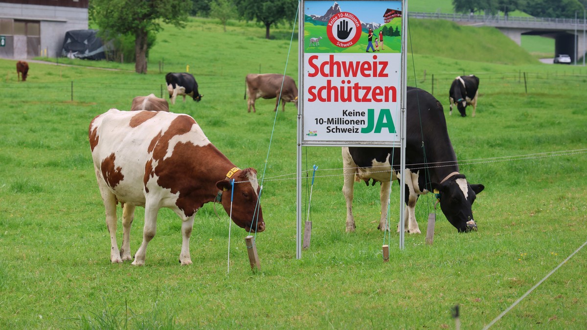 Ohne-die-b-sen-St-dte-w-re-die-Landschaft-arm-dran