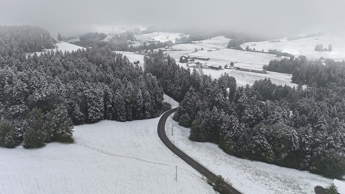 Die verschneite Landschaft bei Heiterswil SG.