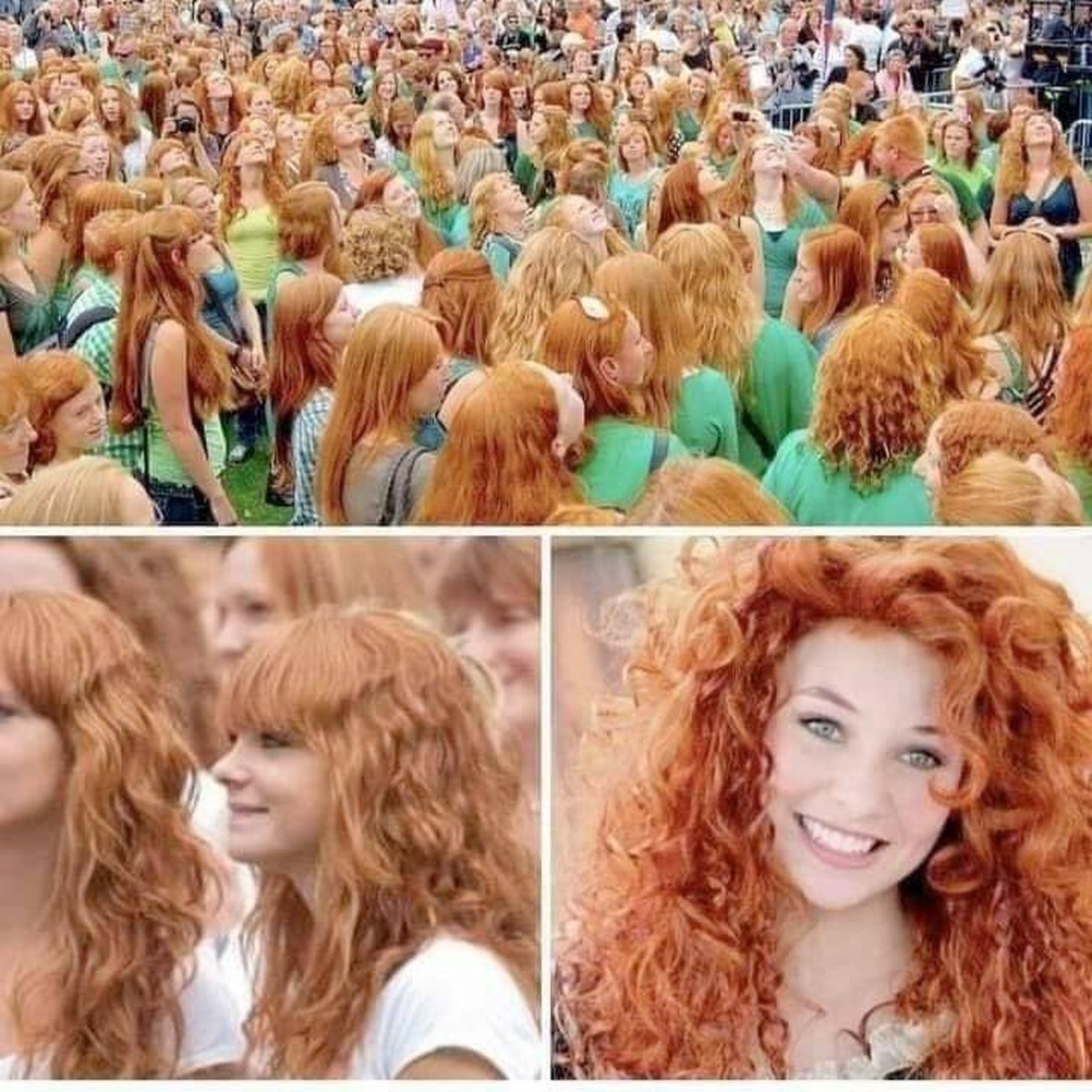 Only in ireladn