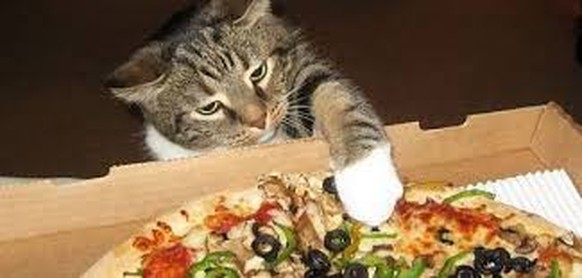 Katze und Pizza
https://imgur.com/gallery/aihmzNY
