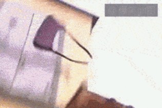PICDUMP 417 – wer gähnen muss, hat verloren!\nHaha! Die typisch klassische Situation.