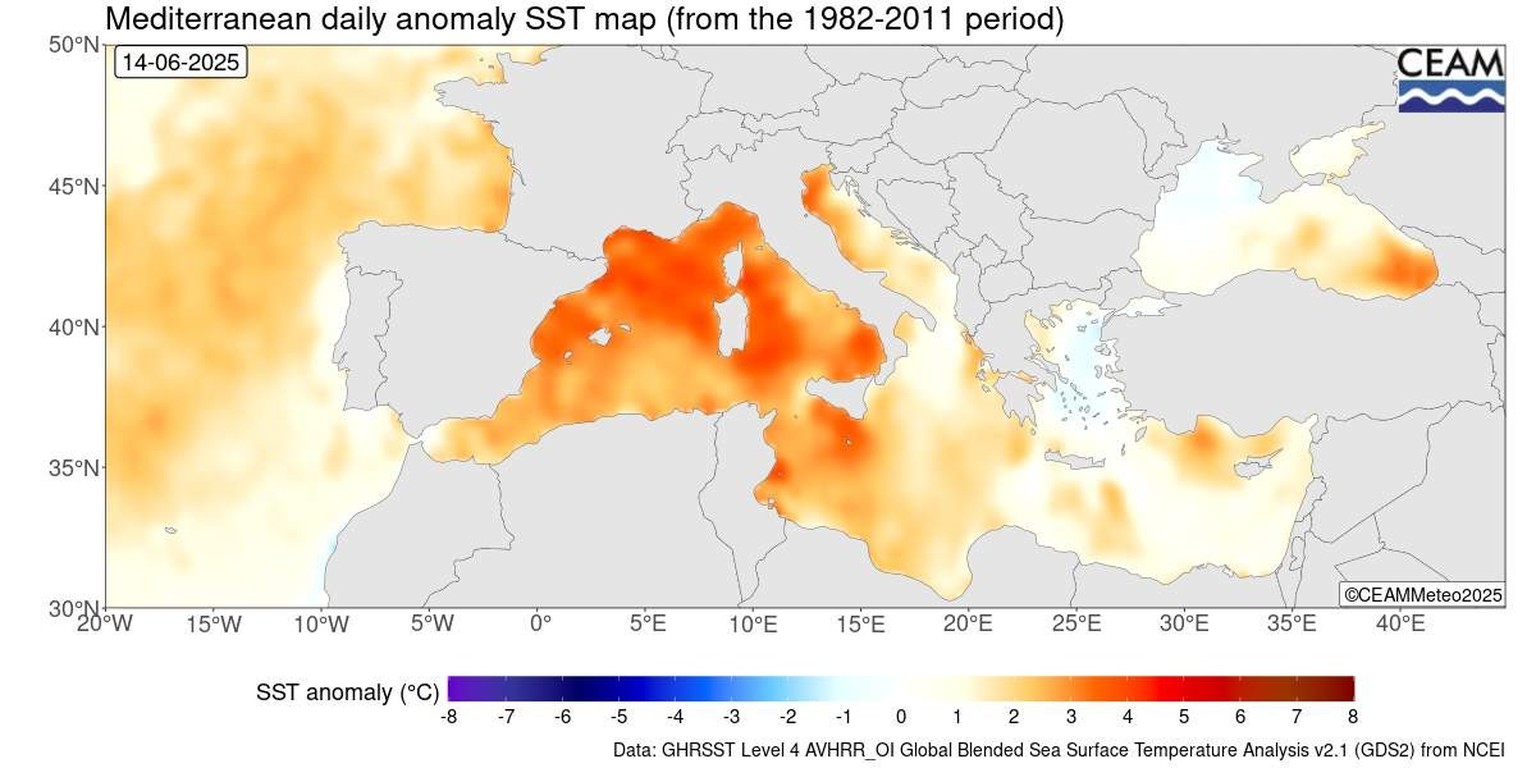 Die Oberflächentemperatur im Mittelmeer Mitte Juni 2025.