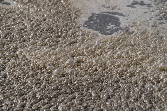 Bacteria appear on the surface of biological treatment tanks at the MM San Rocco water plant in Milan, Italy, Wednesday, March 20, 2024. Milan treats its wastewater and a significant part...