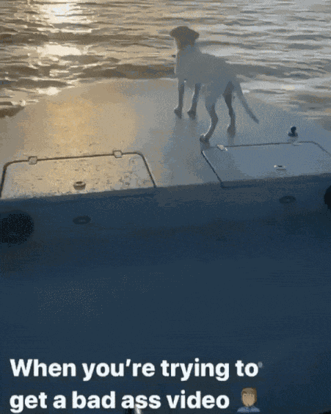 Animiertes GIF