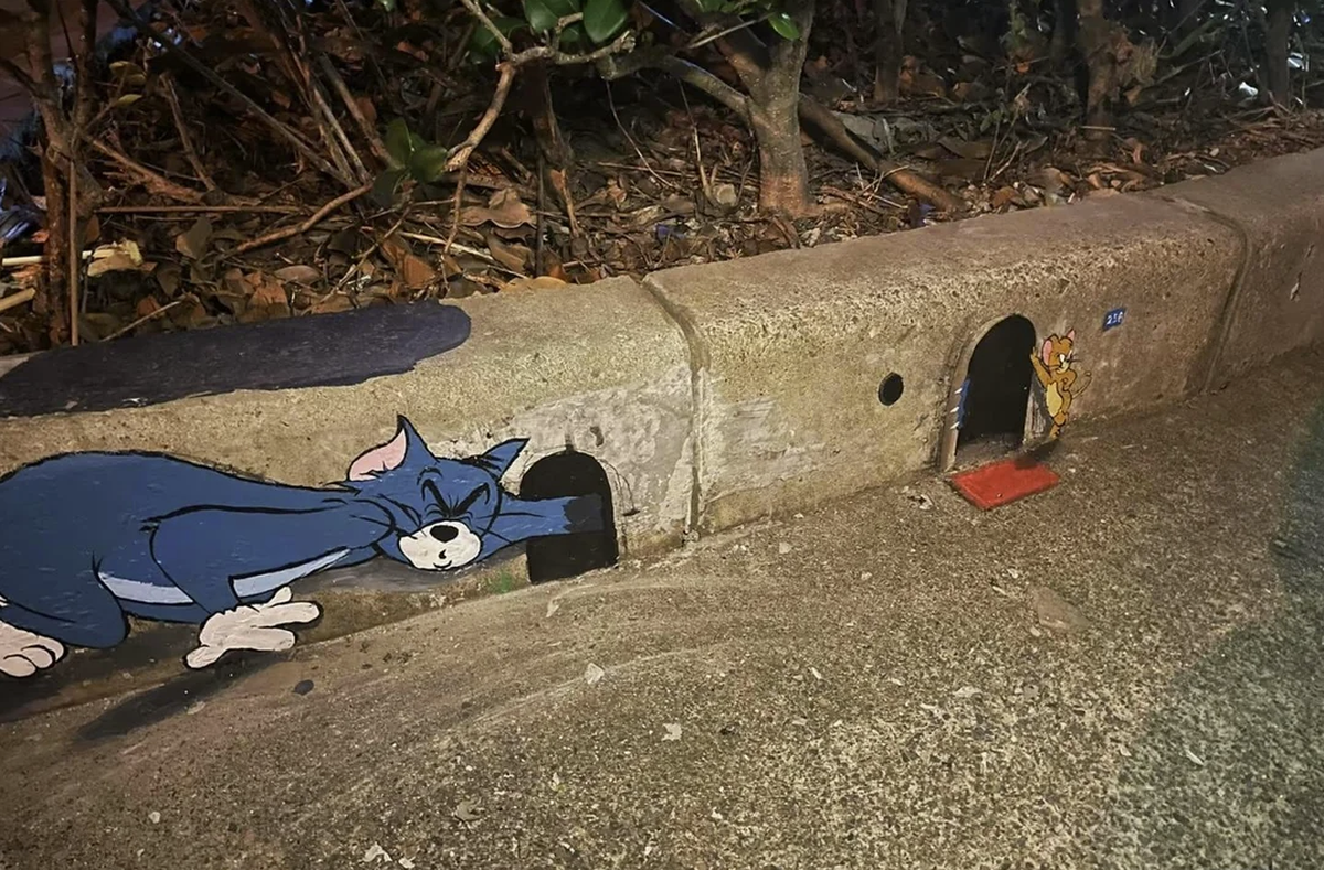 Coole Street Art