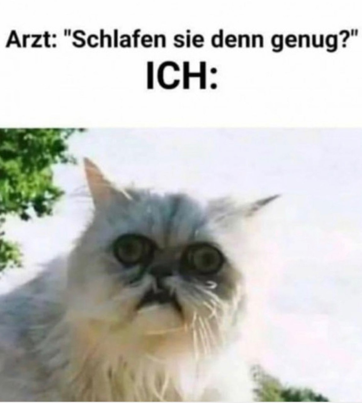 Lösen! Hallo! Da! Löööösen!
Danke für den Aufsteller heute Morgen. 
Ich ansonsten so: