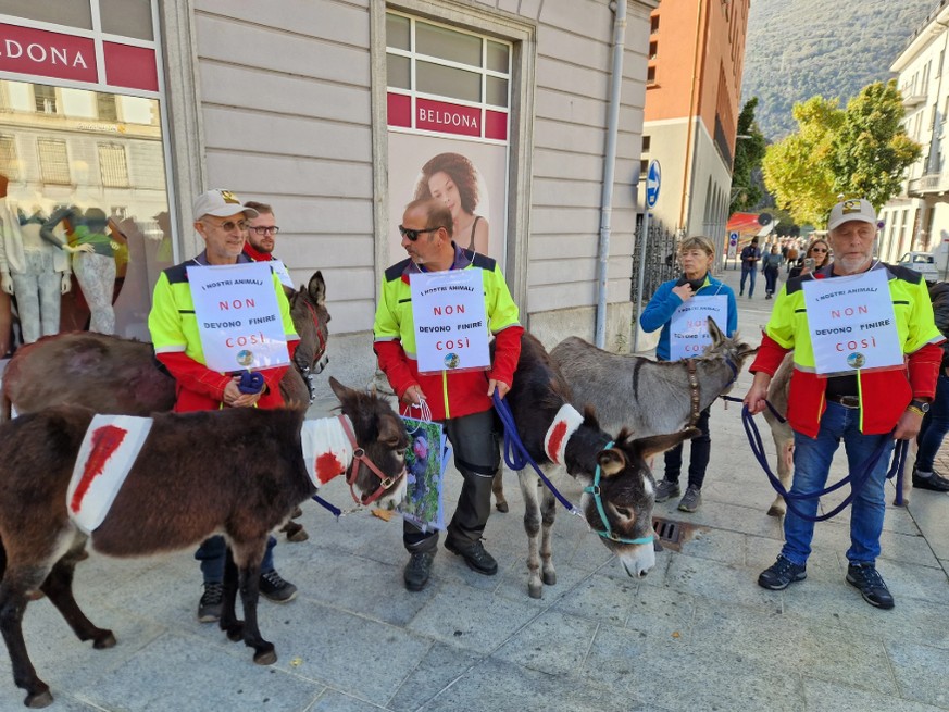 «Die Situation ist unhaltbar geworden», sagten mehrere Rednerinnen und Redner an der Demo in Bellinzona.