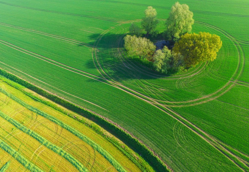 Baeume und Buesche umgeben am 12.05.2017 eine sogenannte Soelle, ein Überbleibsel aus der letzten Eiszeit, auf einem Feld im Landkreis Oder-Spree unweit von Sieversdorf (Brandenburg) (Luftaufnahme mit ...