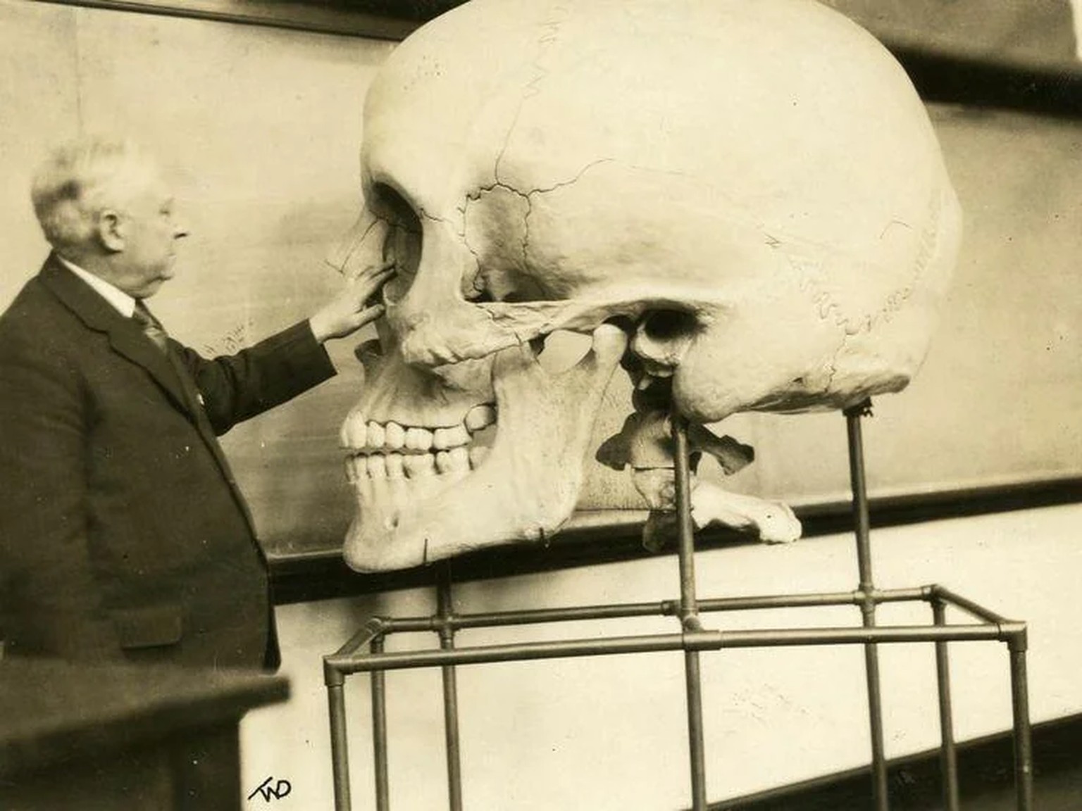 Harris P. Mosher teaching at Harvard Medical School in 1929. This giant skull was made in the 1890s. [736x552]
