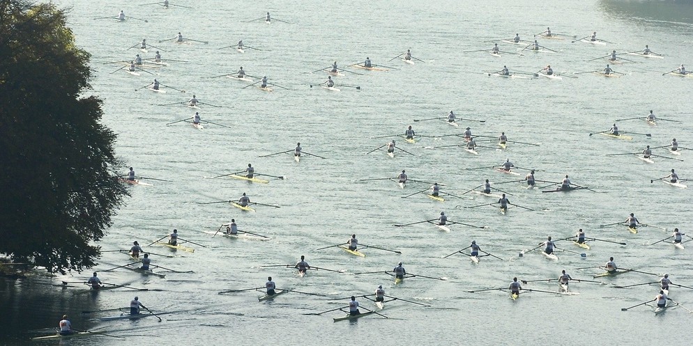 Auf dem Wohlensee rudern Athletinnen und Athleten am Samstag in verschiedenen Kategorien um die Wette.