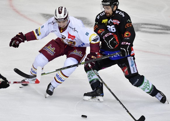 Der Berner Mark Arcobello, rechts, und der Genfer Damien Riat, links, kaempfen um den Puck im ersten Eishockey Playoff-Viertelfinalspiel der National League zwischen dem SC Bern und dem Geneve Servett ...