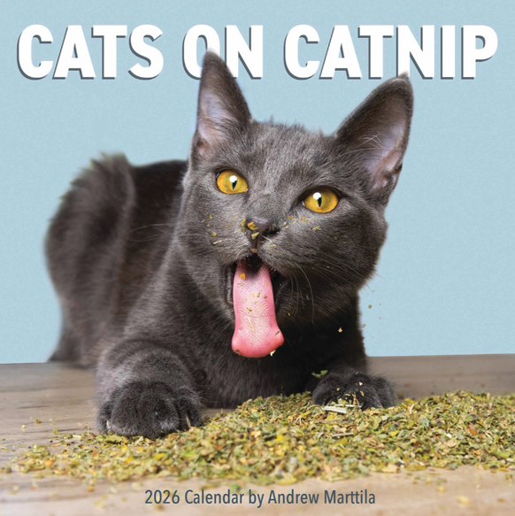 Cats on Catnip Calendar 2026
https://www.calendarclub.co.uk/cats-on-catnip-calendar-2026-329108/