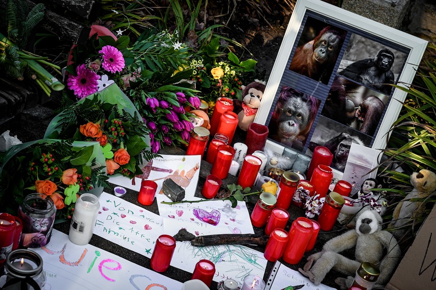 epa08097712 Notes, candles and flowers as people mourn at the entrance outside of the zoo in Krefeld, Germany, 01 January 2020. All animals, in total more than 30, died during the fire at the Krefeld  ...